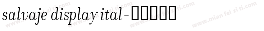 salvaje display ital字体转换